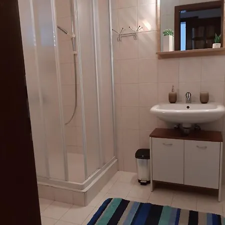 公寓 Mihael And Melani 波雷奇