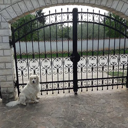 Mihael And Melani 公寓 波雷奇